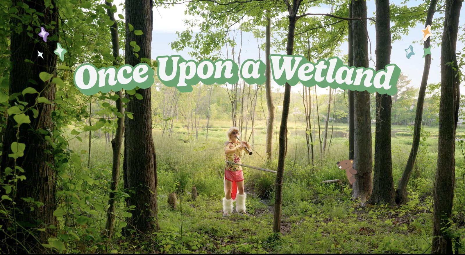 Once Upon a Wetland